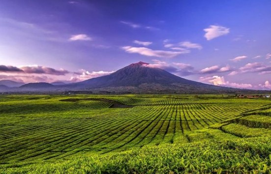Destinasi Wisata Gunung Kerinci: Menyusuri Keindahan Tertinggi di Sumatra
