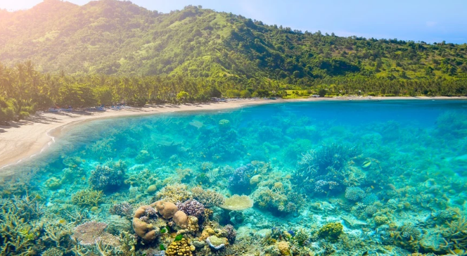Pulau Lombok: Surga Tersembunyi di Indonesia