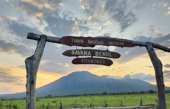 Taman Nasional Baluran: Surga Kecil di Jawa Timur