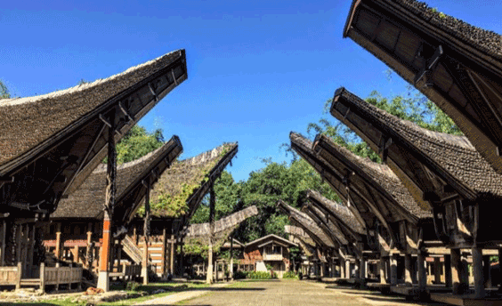 Tana Toraja: Keindahan dan Keunikan Budaya di Sulawesi Selatan