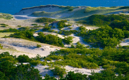 Keindahan Pantai Cape Cod: Pantai yang Sempurna