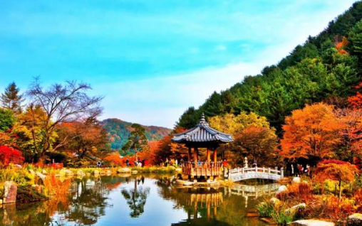 keindahan Seoul Botanical Garden