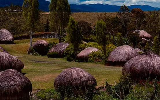 Taman Nasional Aparados keindahan