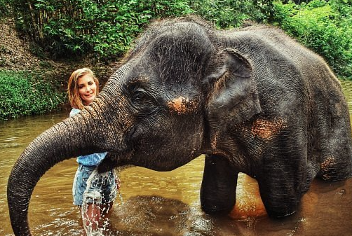 Kuala Gandah Elephant Sanctuary keindahan