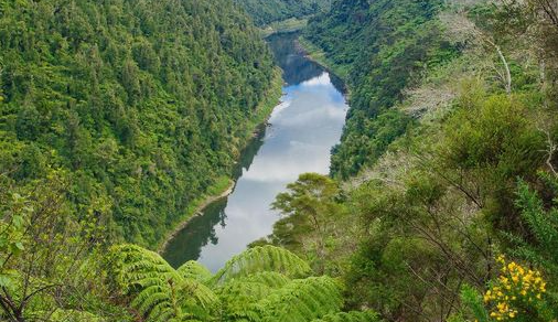 keindahan Whanganui River