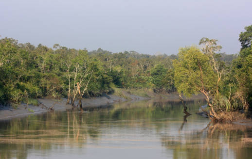 Keindahan Sundarbans National Park