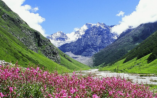 Keindahan Valley Flowers National Park