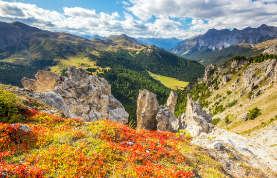 Keindahan Taman Nasional Swiss Graubünden