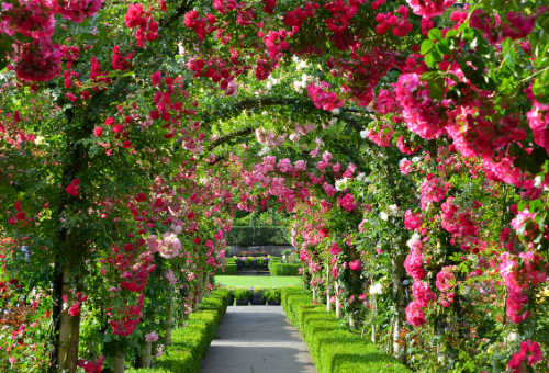 Keindahan Butchart Gardens