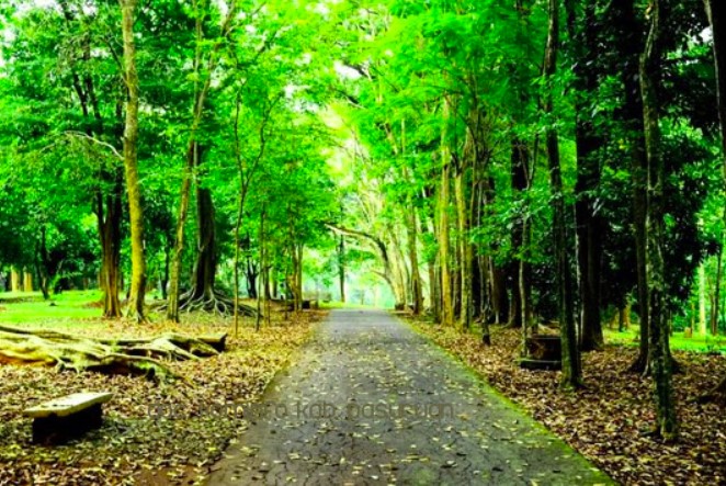 Kebun Raya Purwodadi Tambah Koleksi Tanaman
