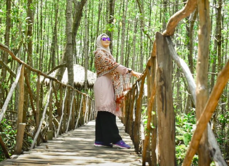 Wisata Hutan Mangrove Bangka Terus Berkembang