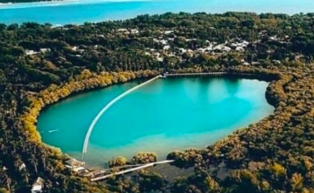 Gili Meno Surga Tersembunyi Para Penyu Yang Melimpah